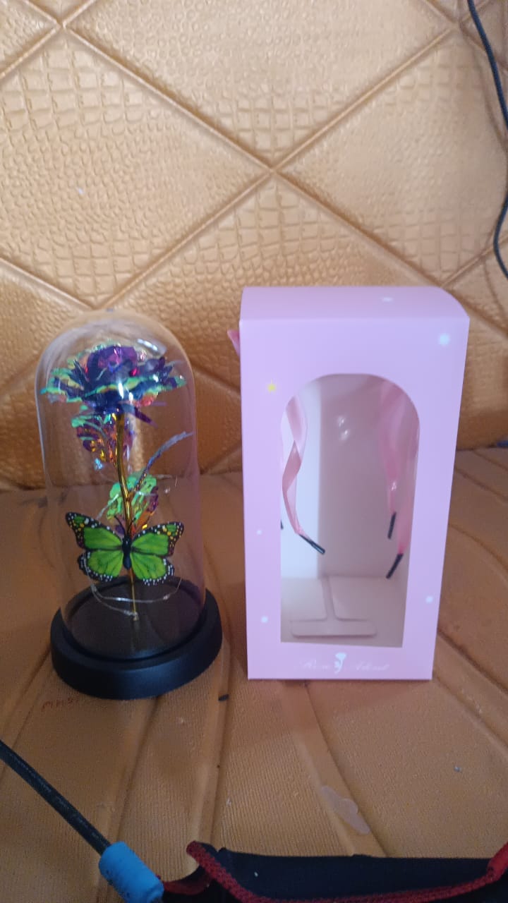 Led Preserved Rose With Colorful Butterfly In Plastic Dome (1 Pc Mix Color)