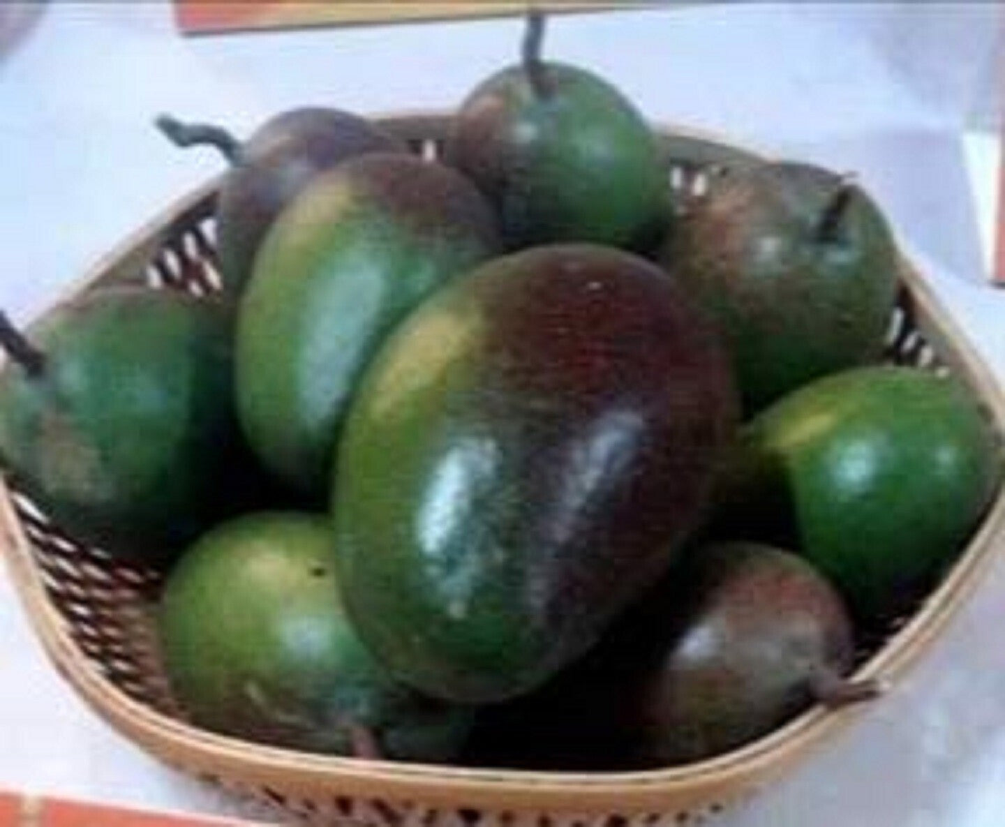 Seeds Grafted Pusa Arunima Mango Plant