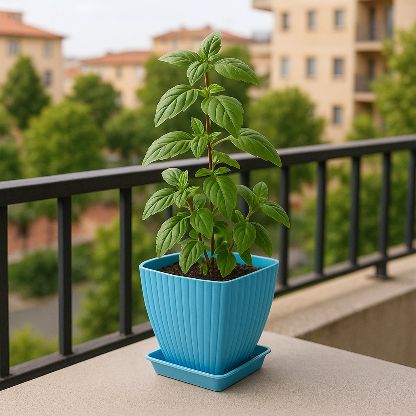 Trendy Square Plastic Flower Pots Set Of 5
